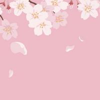 【動漫】東桃日本代購