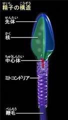 teamアカジン🌺のオープンチャット