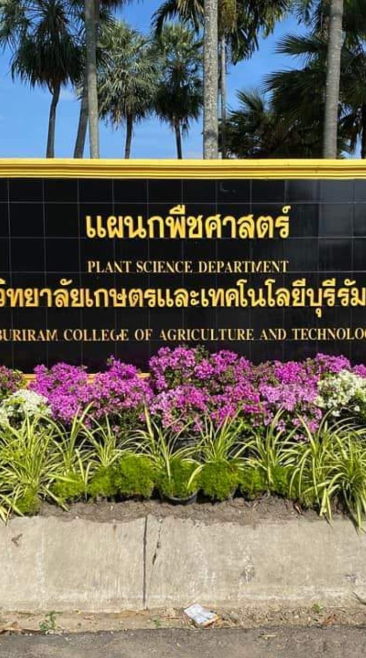 แผนกวิชาพืชศาสตร์ วิทยาลัยเกษตรและเทคโนโลยีบุรีรัมย์🌽🌽🌾🌾