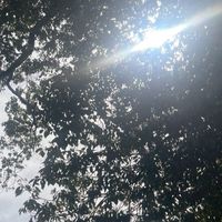 はりねずこ🦋🦔枠のつどい