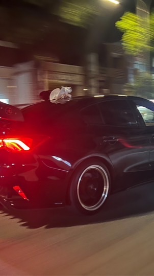 龍龍車隊