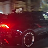 龍龍車隊