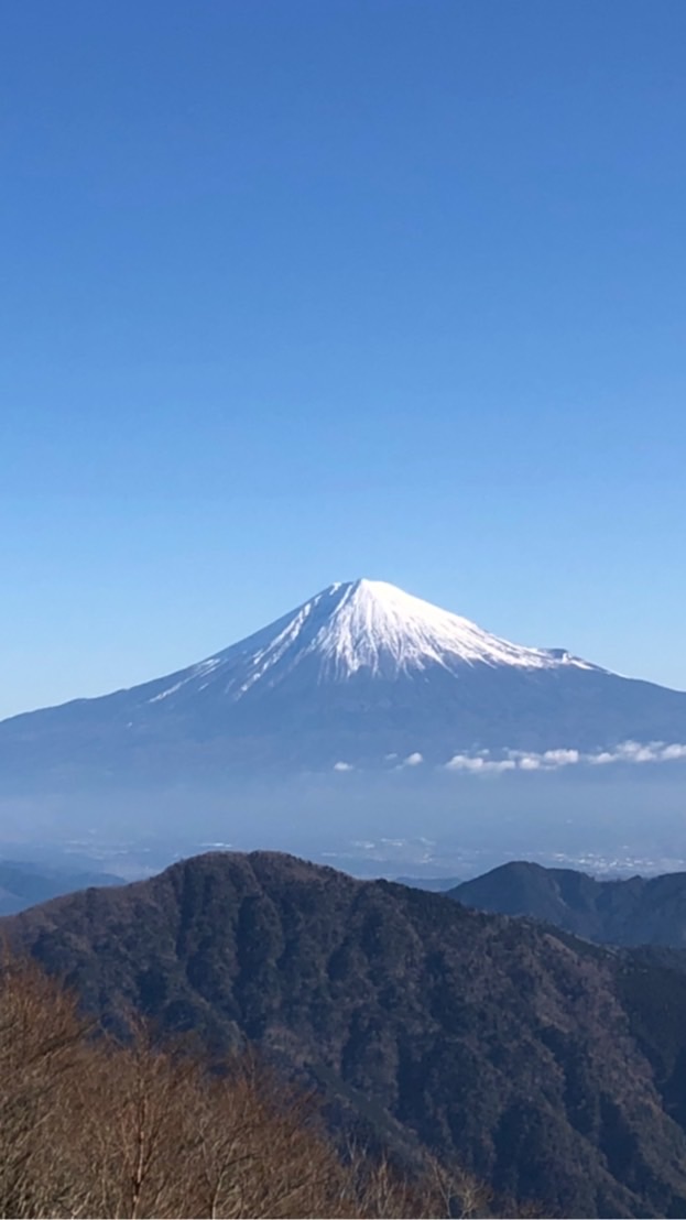 好山病⁈静岡の部屋