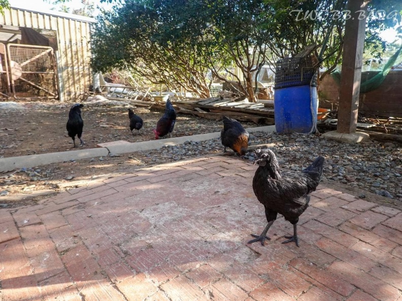 爸媽周末免煩惱！台中10大最強親子景點：破千坪室內樂園、免門票小小駕訓班