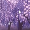 鬼滅の刃 / nrkr