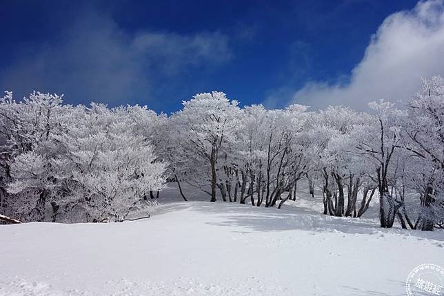 冬遊日本三重縣暢遊雪白 御在所 岳 旅遊經 Line Today