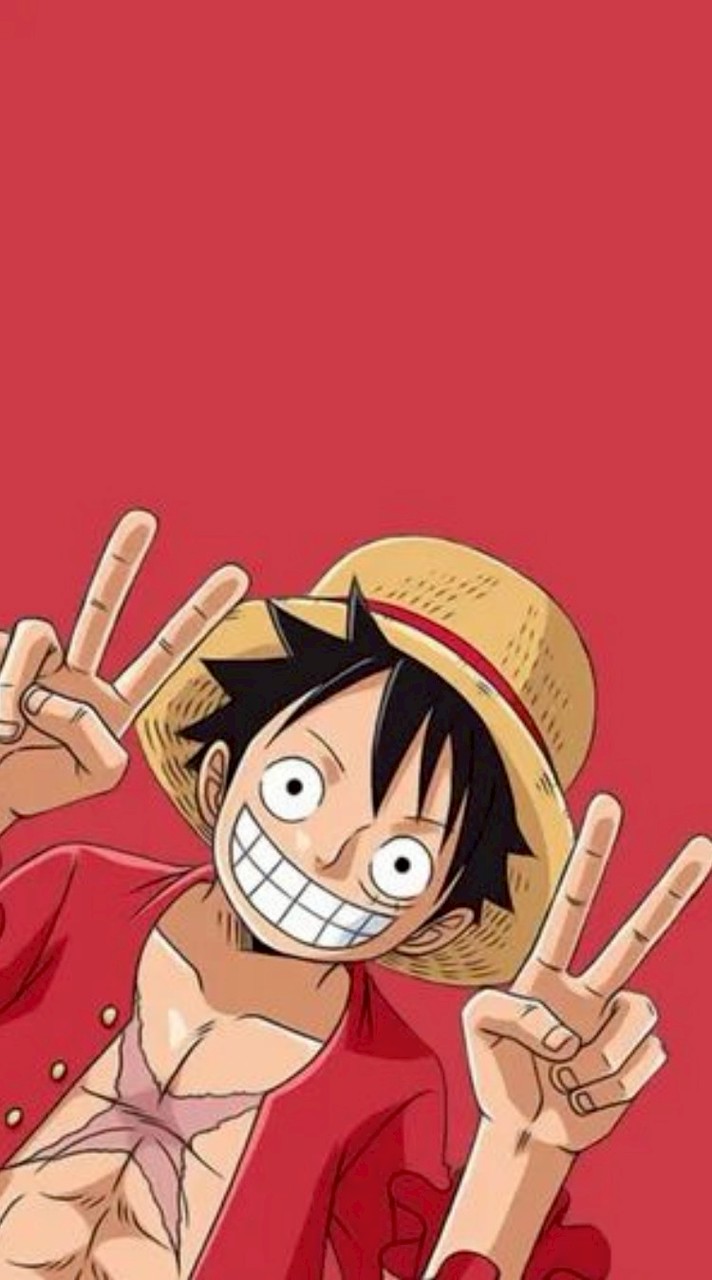 ONEPIECE なりきり