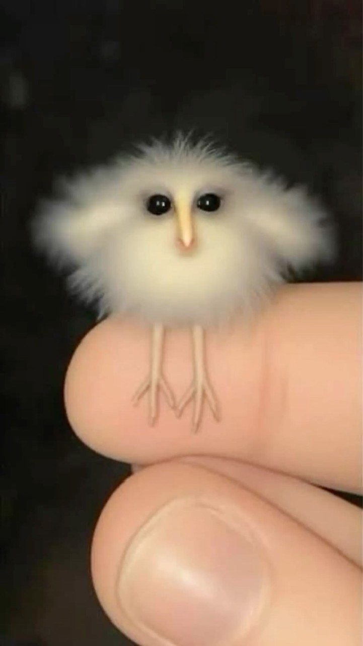 ฉ ฉูน 🖐️ ฉี่