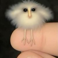 ฉ ฉูน 🖐️ ฉี่