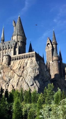 Hogwarts |🧙‍♀️🦁🐍🦅🦡|เข้ามาจอยกันน้าา