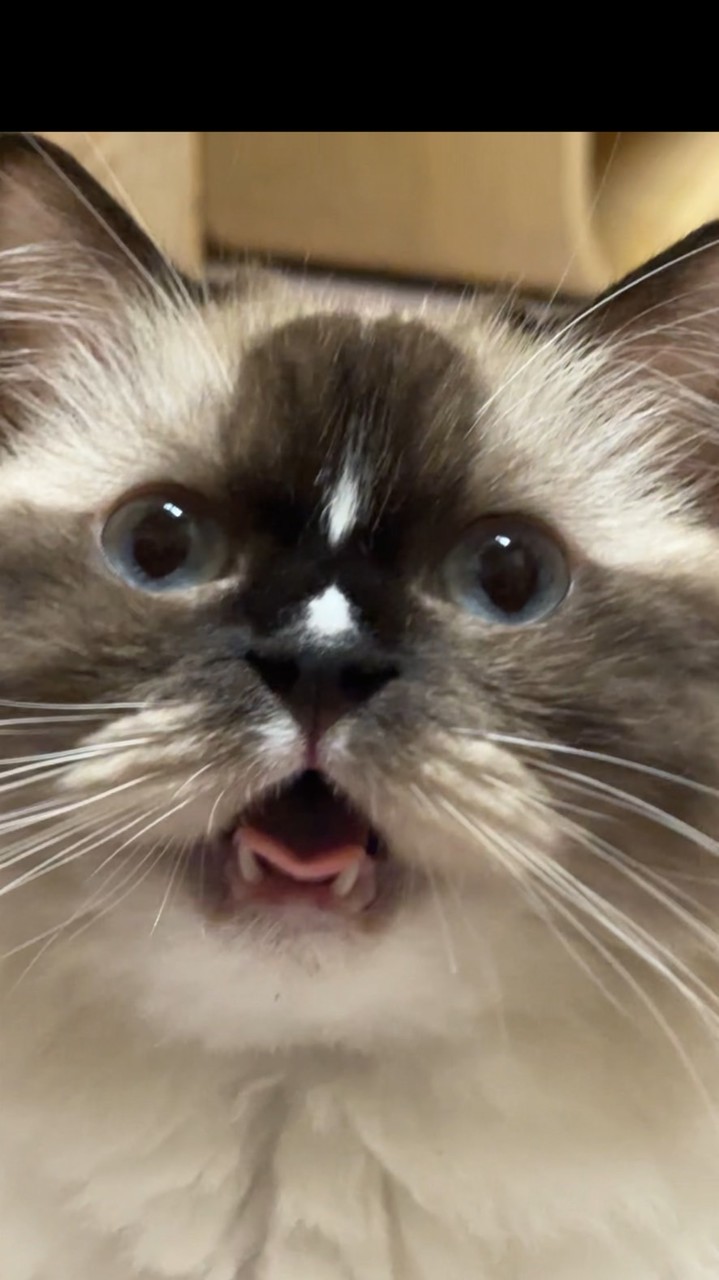 妮妮🍖俗又大碗之補貨團