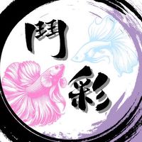 鬥彩魚坊｜鬥魚競標群