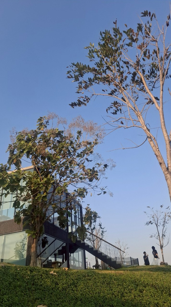 ส่งงานหนังต่างประเทศ ใช้หญิงล้วน ระบุบทที่จะส่ง