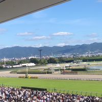 競馬場に行きませんか？　with  team  involve