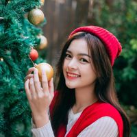 PhotoFleem Pro