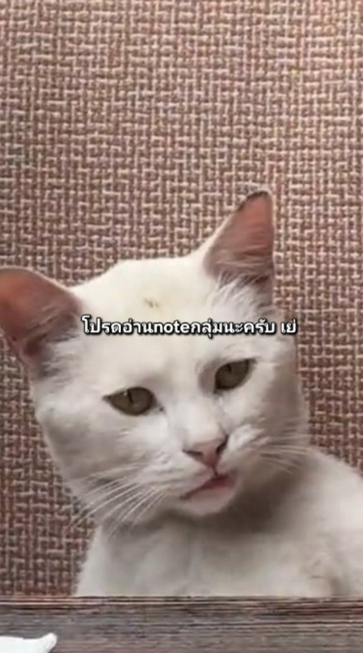 กสพทโหดๆ&All ตึงๆ Tcasทีแค้น