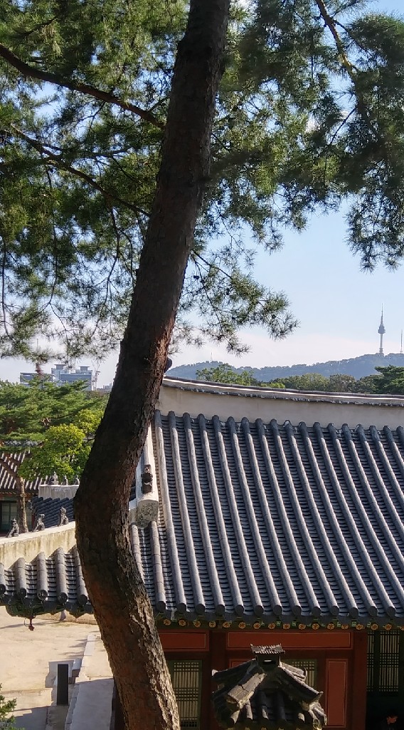 월요일에는 한국어 공부