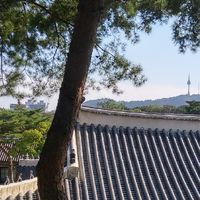 월요일에는 한국어 공부
