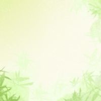 九中硬梆幫