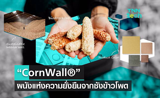 “CornWall®”  ผนังแห่งความยั่งยืน  จากเศษซังข้าวโพด