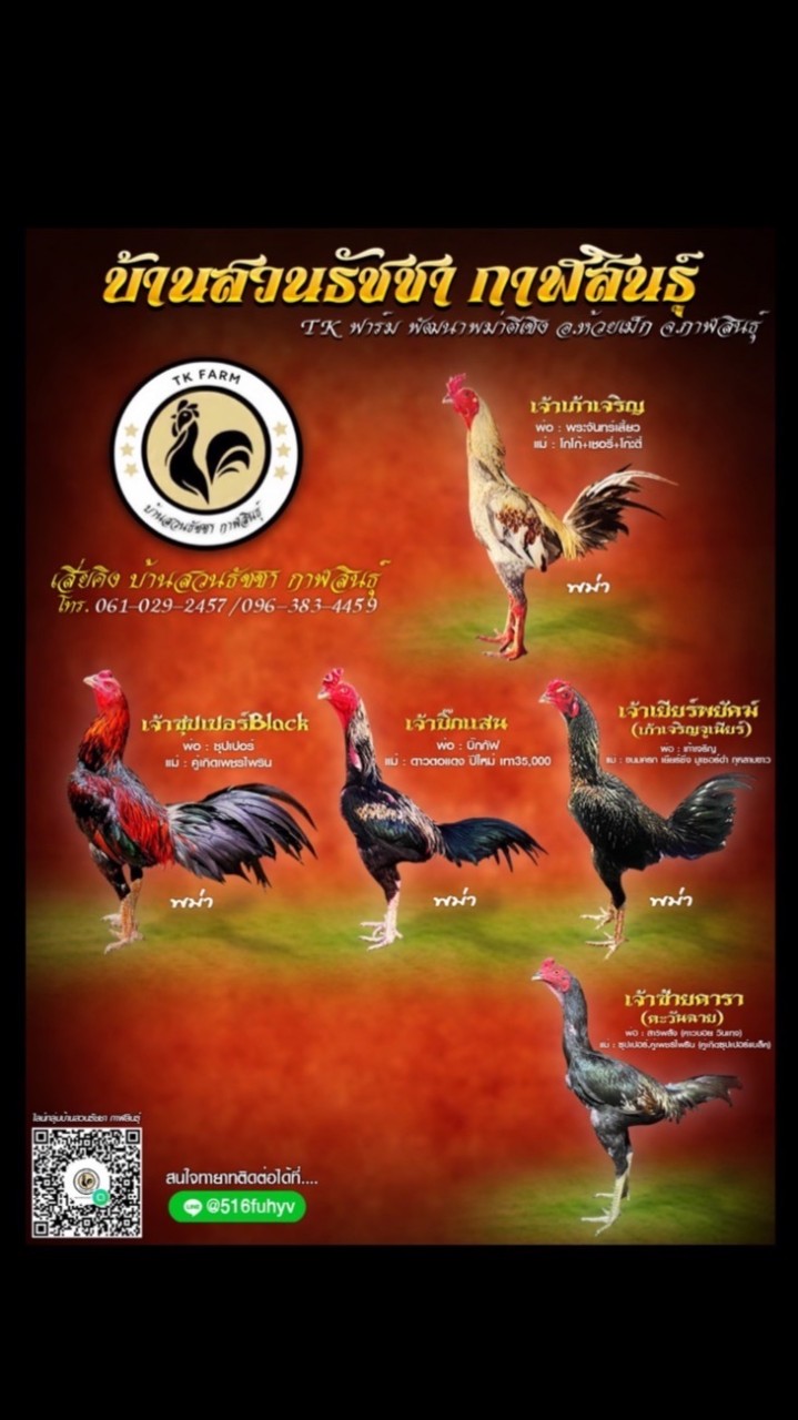 TK ฟาร์ม ( บ้านสวนธัชชา กาฬสินธุ์ )