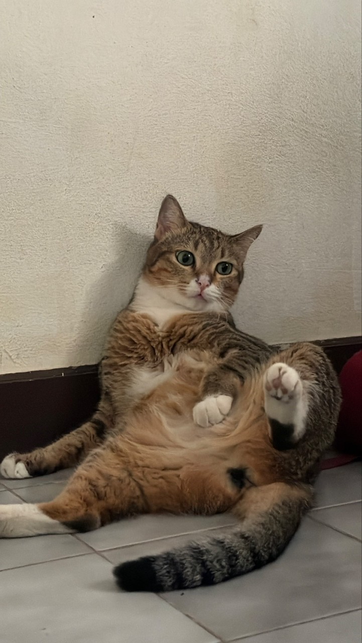 ส่งเบอร์ตู้