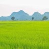 แจกแนวข้อสอบท้องถิ่นฟรี!!