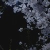 歌って話しとけ😋🫶🏻
