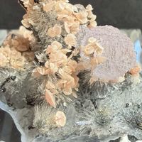 🌟礦石交流🌟