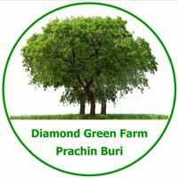 วิสาหกิจชุมชนDiamond Green Farm