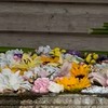 複雑性PTSD    日常