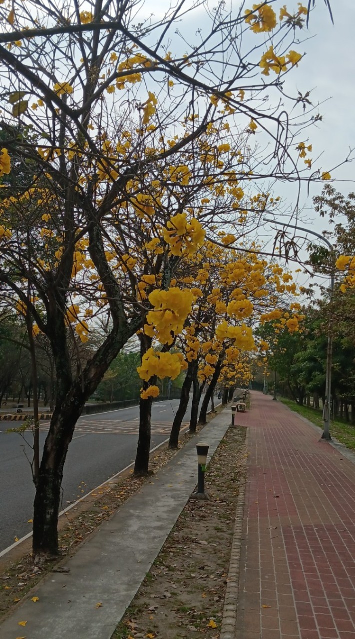 頭份竹南地區運動健身找伴