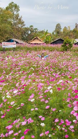 เกษตรท่องเที่ยว
