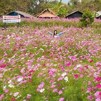 เกษตรท่องเที่ยว