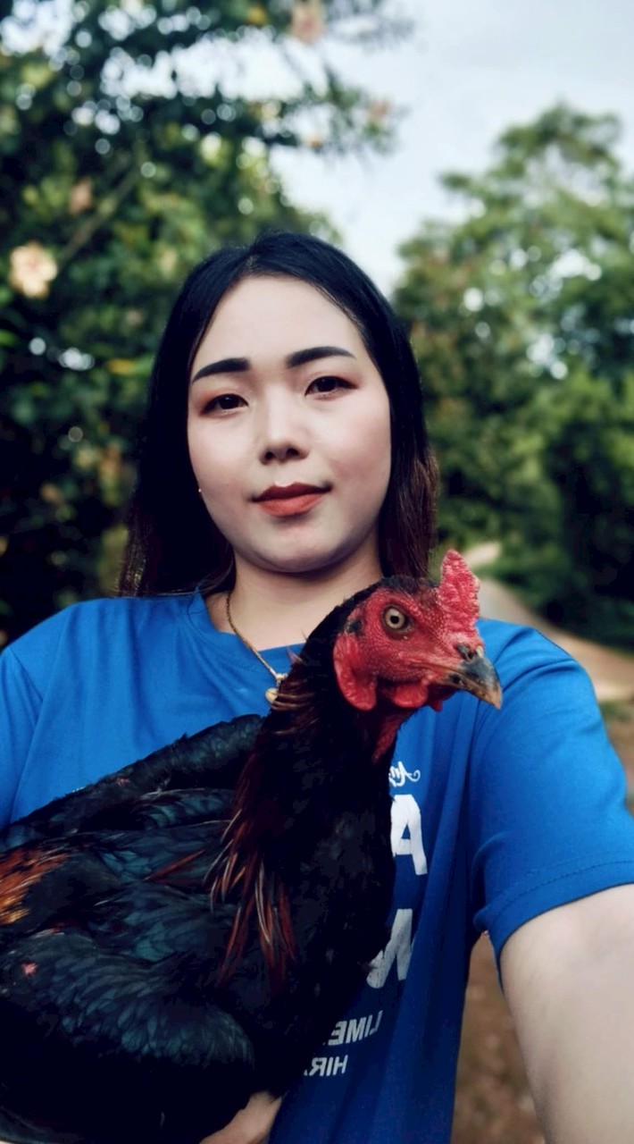 มท.เสี่ยวบ้านบน ( พม่าหลังเขา พม่าเมืองเหนือ )