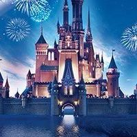 ディズニー オプチャのみ 宣伝 部屋