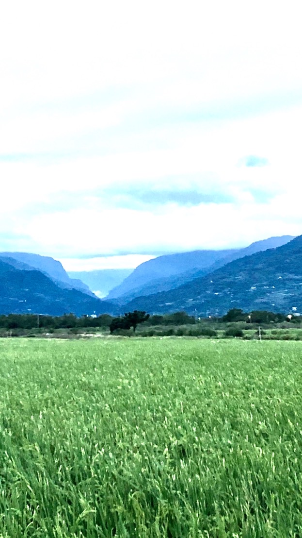 T&K休閒登山社