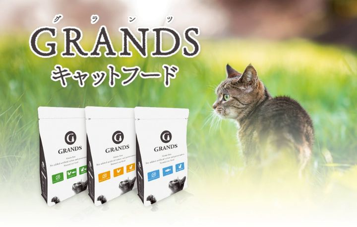 GRANDS_CATS | LINE Official Account