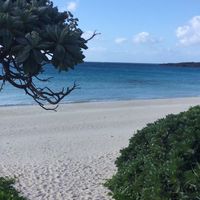 宮古島で友達をつくろう