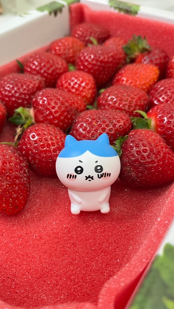 CC哈哈😆日本代購4/1-4/7沖繩🇯🇵