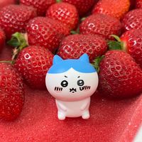 CC哈哈😆日本代購4/1-4/7沖繩🇯🇵
