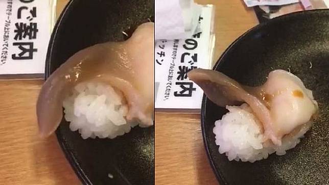 Viral, Daging Sushi Pembeli Ini Menggeliat Saat Akan Dimakan