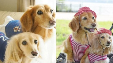 萌萌der～臘腸奶奶與孫女的日常生活，祖孫倆的好感情讓人羨慕 ！