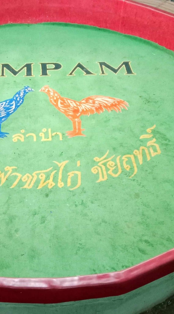 สนามชนไก่ชัยฤทธิ์อ่างทอง