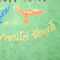 สนามชนไก่ชัยฤทธิ์อ่างทอง