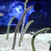 訪問看護の婚活(事業継承)