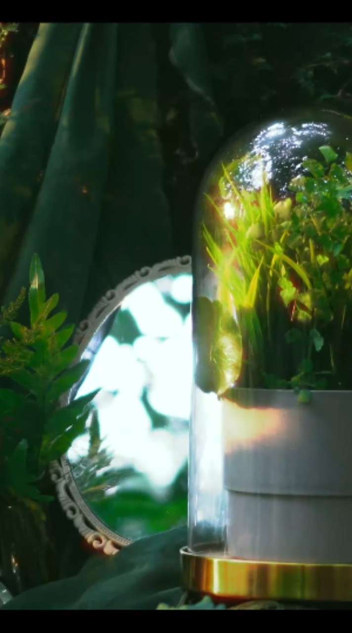 攝影是用光的藝術，把錢用光的藝術