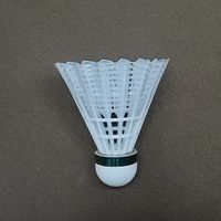 翔鶴羽球隊 MSl 2館羽球臨打團