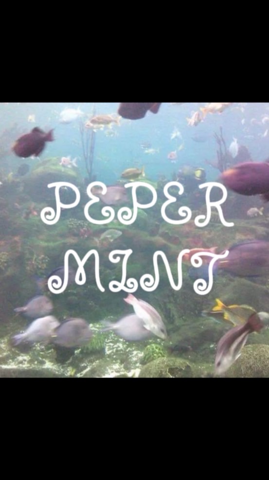 PAPER MINT