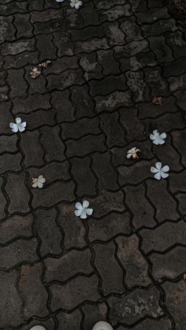 芸能人 なりきり